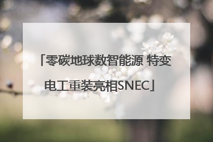 零碳地球数智能源 特变电工重装亮相SNEC