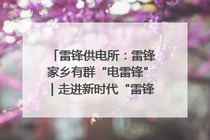 雷锋供电所：雷锋家乡有群“电雷锋”｜走进新时代“雷锋传人 长沙榜样”
