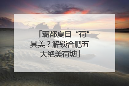 霸都夏日“荷”其美？解锁合肥五大绝美荷塘