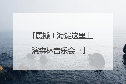 震撼！海淀这里上演森林音乐会→