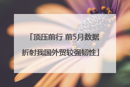 顶压前行 前5月数据折射我国外贸较强韧性