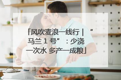 风吹麦浪一线行｜“马兰 1 号”：少浇一次水 多产一成粮