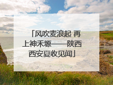 风吹麦浪起 再上神禾塬——陕西西安夏收见闻