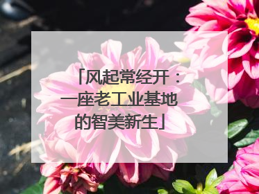 风起常经开：一座老工业基地的智美新生