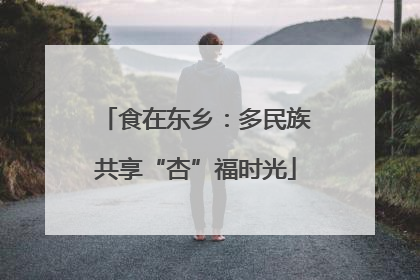 食在东乡：多民族共享“杏”福时光