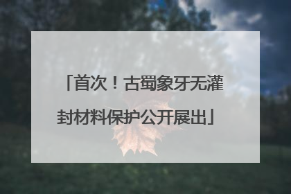 首次！古蜀象牙无灌封材料保护公开展出