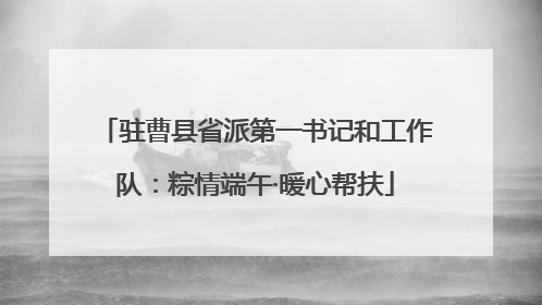 驻曹县省派第一书记和工作队：粽情端午·暖心帮扶