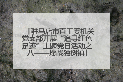 驻马店市直工委机关党支部开展“追寻红色足迹”主题党日活动之八——鏖战独树镇