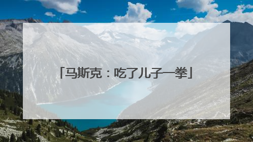 马斯克：吃了儿子一拳