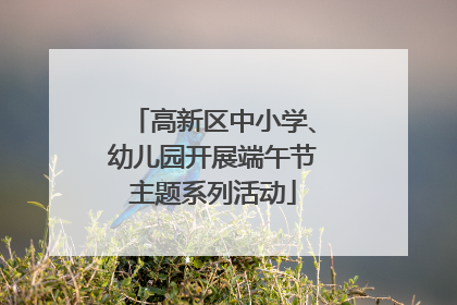 高新区中小学、幼儿园开展端午节主题系列活动