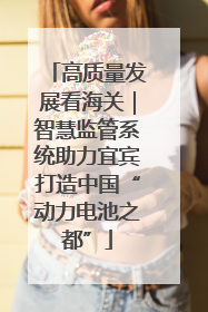 高质量发展看海关｜智慧监管系统助力宜宾打造中国“动力电池之都”
