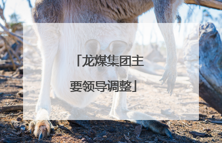 龙煤集团主要领导调整