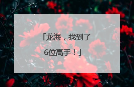 龙海，找到了6位高手！