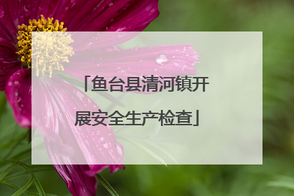鱼台县清河镇开展安全生产检查