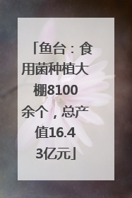 鱼台：食用菌种植大棚8100余个，总产值16.43亿元
