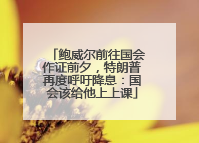 鲍威尔前往国会作证前夕，特朗普再度呼吁降息：国会该给他上上课