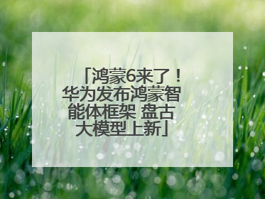 鸿蒙6来了！华为发布鸿蒙智能体框架 盘古大模型上新
