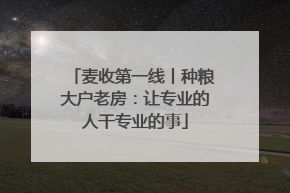 麦收第一线丨种粮大户老房：让专业的人干专业的事