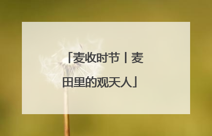 麦收时节丨麦田里的观天人