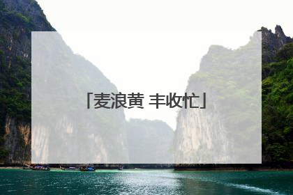 麦浪黄 丰收忙