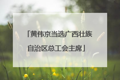 黄伟京当选广西壮族自治区总工会主席