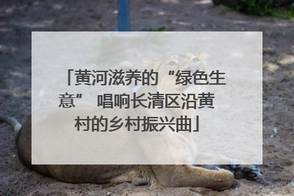 黄河滋养的“绿色生意” 唱响长清区沿黄村的乡村振兴曲