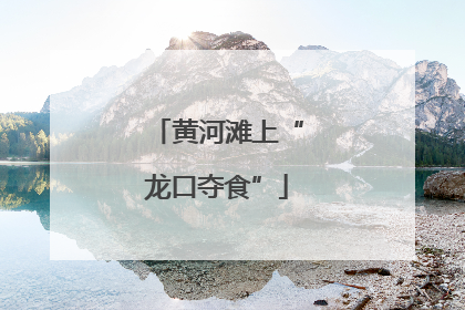 黄河滩上“龙口夺食”