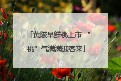 黄陂早鲜桃上市 “桃”气满满迎客来
