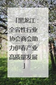 黑龙江：全省性行业协会商会助力伊春产业高质量发展