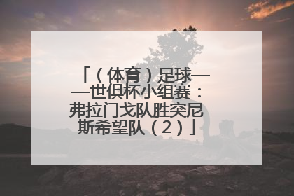 （体育）足球——世俱杯小组赛：弗拉门戈队胜突尼斯希望队（2）