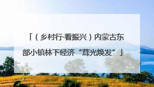 （乡村行·看振兴）内蒙古东部小镇林下经济“茸光焕发”