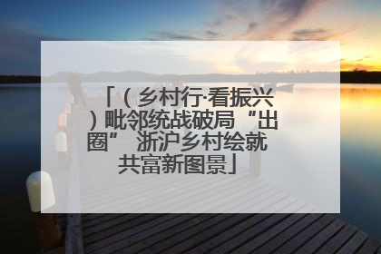 （乡村行·看振兴）毗邻统战破局“出圈” 浙沪乡村绘就共富新图景