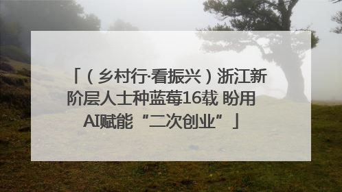 （乡村行·看振兴）浙江新阶层人士种蓝莓16载 盼用AI赋能“二次创业”