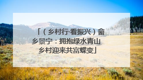 （乡村行·看振兴）畲乡景宁：拥抱绿水青山 乡村迎来共富蝶变