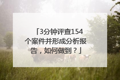 3分钟评查154个案件并形成分析报告，如何做到？