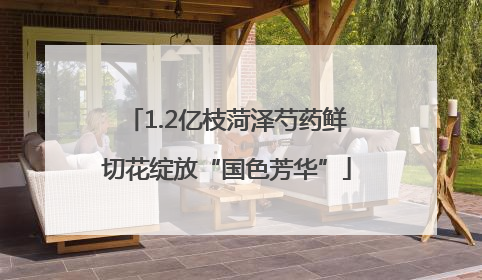 1.2亿枝菏泽芍药鲜切花绽放“国色芳华”