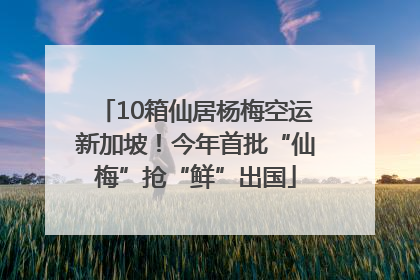 10箱仙居杨梅空运新加坡！今年首批“仙梅”抢“鲜”出国