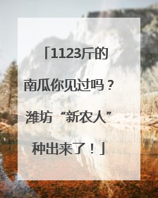 1123斤的南瓜你见过吗？潍坊“新农人”种出来了！