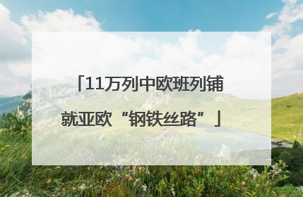 11万列中欧班列铺就亚欧“钢铁丝路”