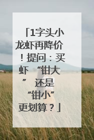 1字头小龙虾再降价！提问：买虾 “钳大” 还是 “钳小” 更划算？