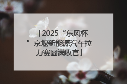 2025“东风杯”京堰新能源汽车拉力赛圆满收官