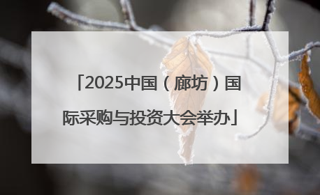 2025中国（廊坊）国际采购与投资大会举办