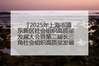2025年上海市浦东新区社会组织高质量发展大会暨第二届长三角社会组织高质量发展峰会成功举办