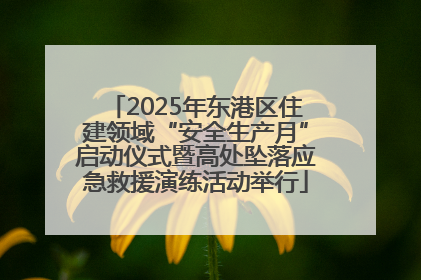 2025年东港区住建领域“安全生产月”启动仪式暨高处坠落应急救援演练活动举行