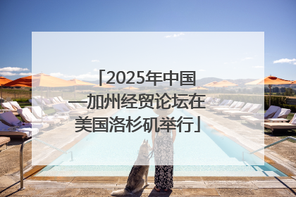 2025年中国—加州经贸论坛在美国洛杉矶举行