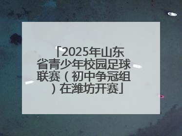 2025年山东省青少年校园足球联赛（初中争冠组）在潍坊开赛