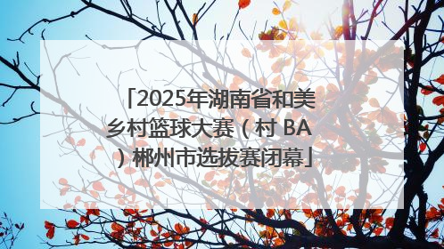 2025年湖南省和美乡村篮球大赛（村 BA）郴州市选拔赛闭幕