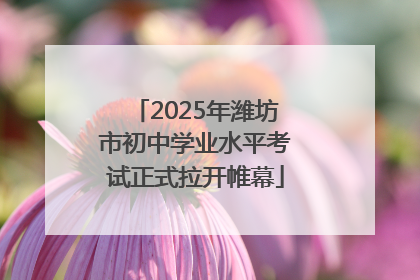2025年潍坊市初中学业水平考试正式拉开帷幕