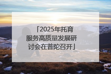 2025年托育服务高质量发展研讨会在普陀召开