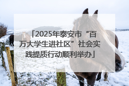 2025年泰安市“百万大学生进社区”社会实践提质行动顺利举办